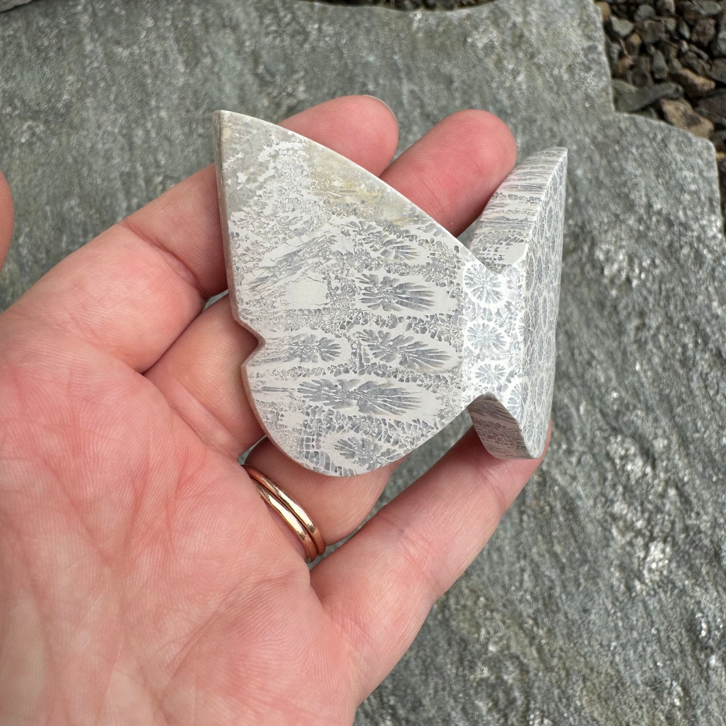 Fossil Coral Butterfly - Opt. 9